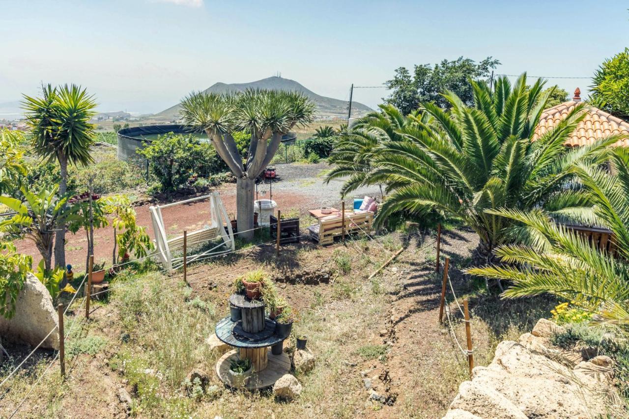 Apartamento B Armonia Rural Granadilla De Abona Luaran gambar